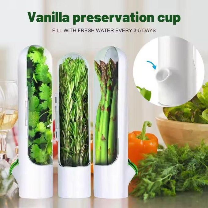 Fresh Herb Keeper Saver Storage Container