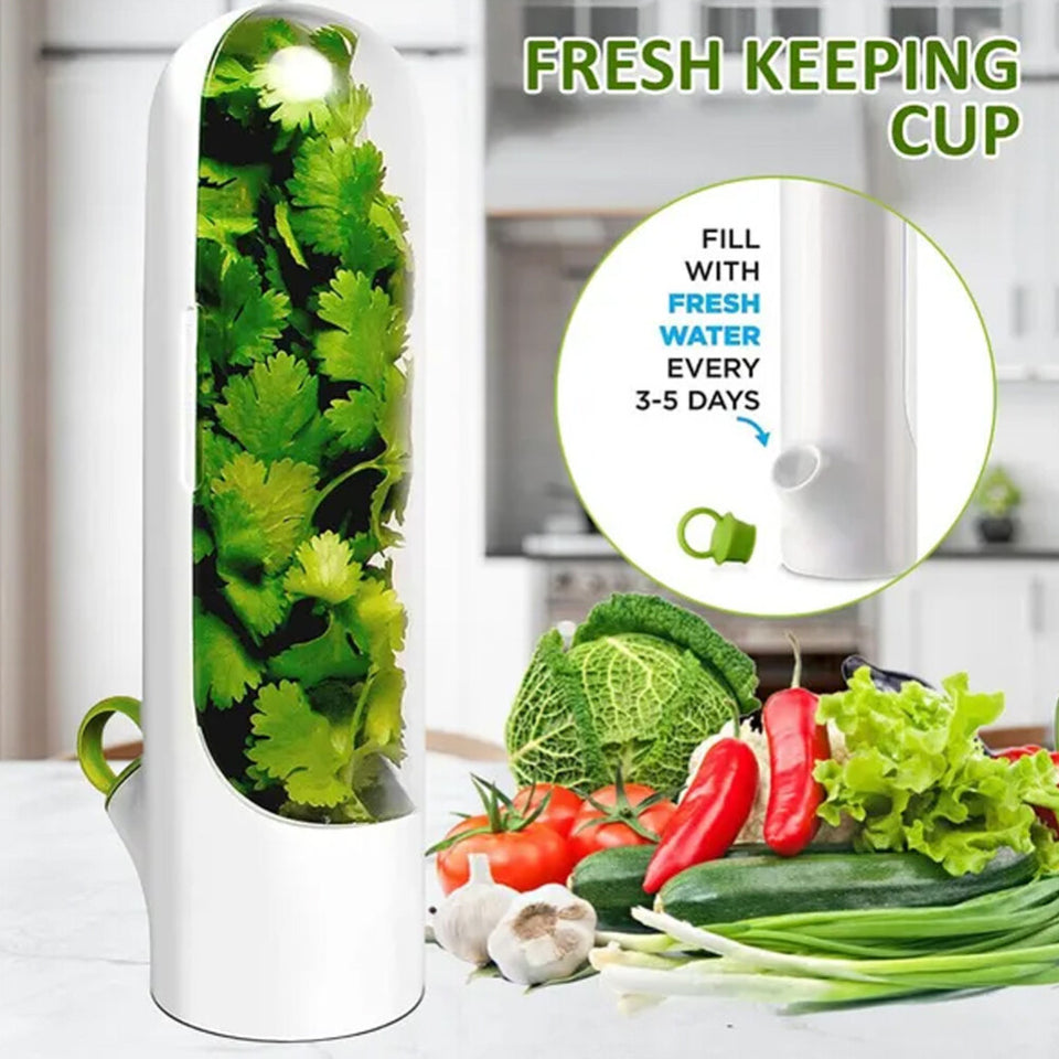 Fresh Herb Keeper Saver Storage Container
