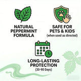 🟢 Natural Peppermint Rodent Repellent Tablets