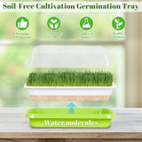 Portable Microgreen Tray