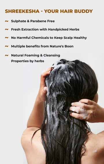 Amla Reetha Shampoo