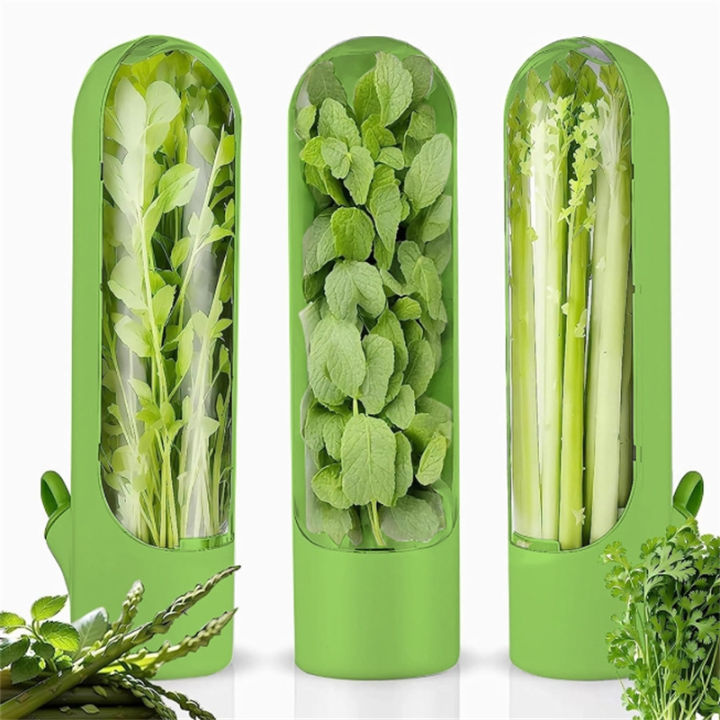 Fresh Herb Keeper Saver Storage Container