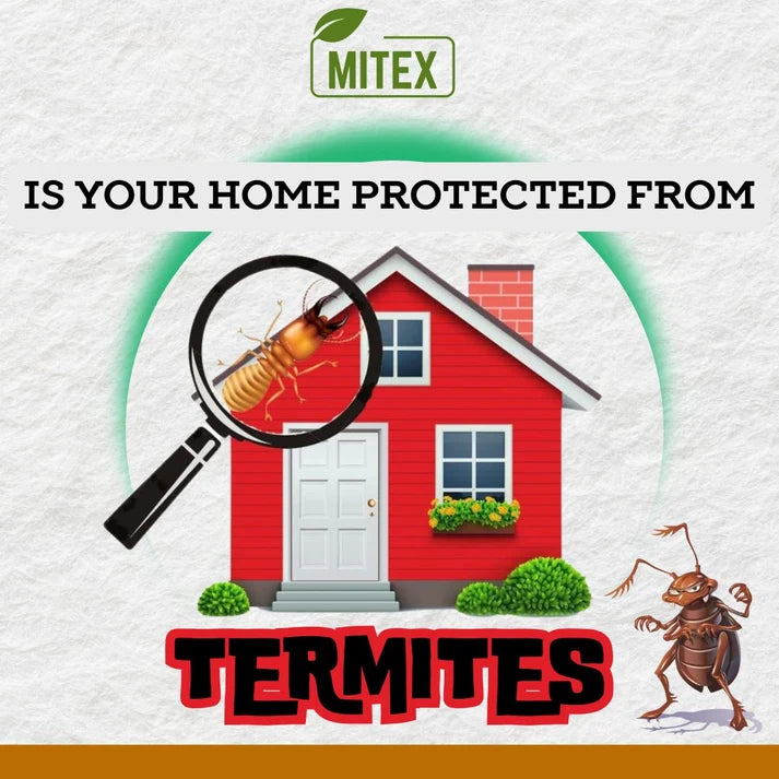 Termite Killer Spray - Effective Pest solution for your home (Buy 1 Get 2 Free)