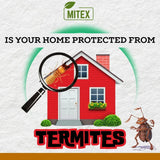 Termite Killer Spray - Effective Pest solution for your home (Buy 1 Get 2 Free)