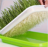 Portable Microgreen Tray