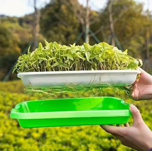 Portable Microgreen Tray