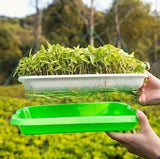 Portable Microgreen Tray