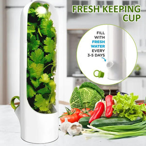 Fresh Herb Keeper Saver Storage Container