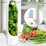 Fresh Herb Keeper Saver Storage Container