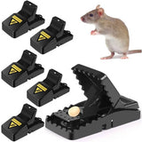 Heavy Duty Mouse Trap