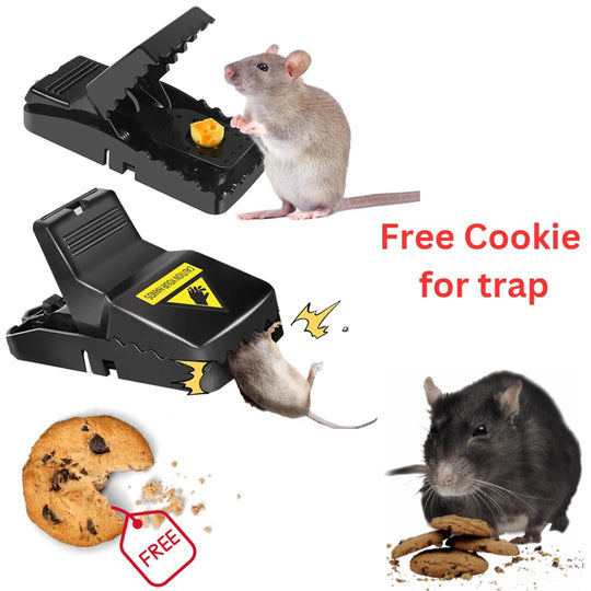 Heavy Duty Mouse Trap – PKEmart